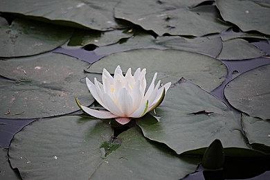 武侠单机《江湖路：缘起》正式定名《刀剑江湖路》 即将参加Steam新品节