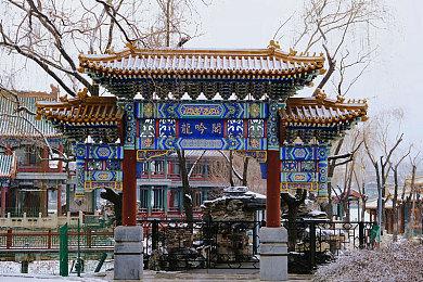 《大江湖之苍龙与白鸟》8月16日Steam发售 定价58元